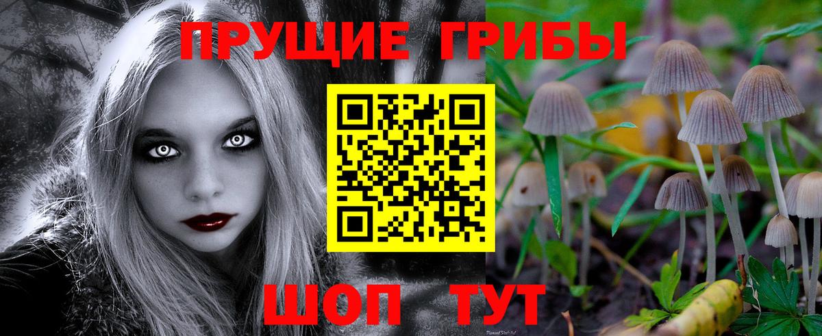Галлюциногенные грибы прущие грибы Ишим